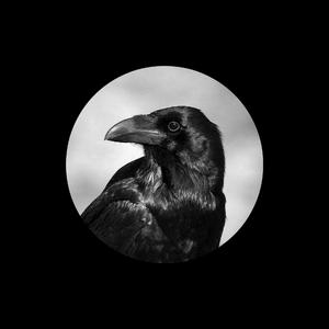 动漫被❌爽到🔞奶头游戏
