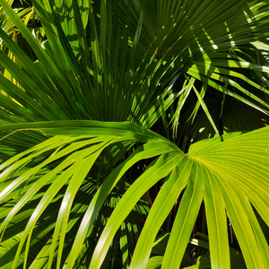 动漫被❌爽到🔞奶头游戏
